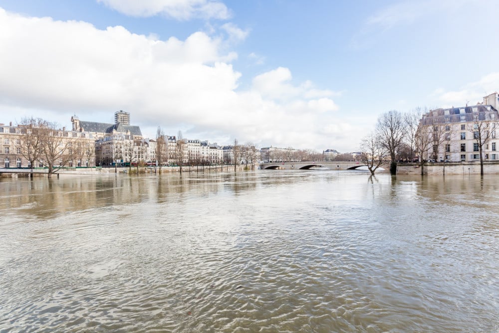 Overlooking the Seine on Ile de la Cité