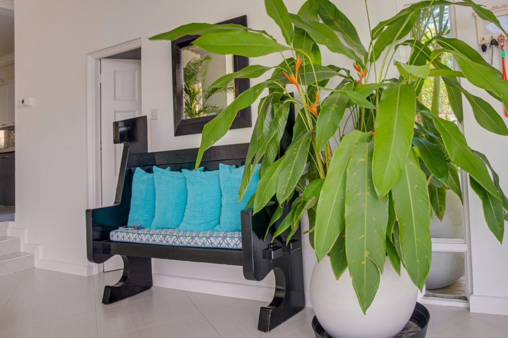 Villa Chilla - 4 Bedroom