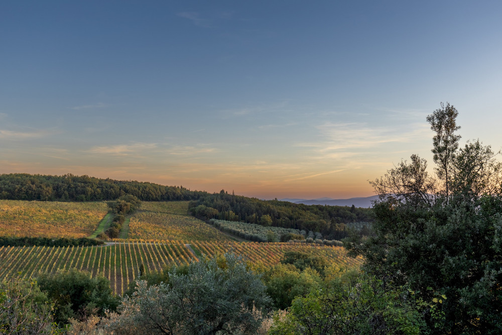 Castellare in Poggio