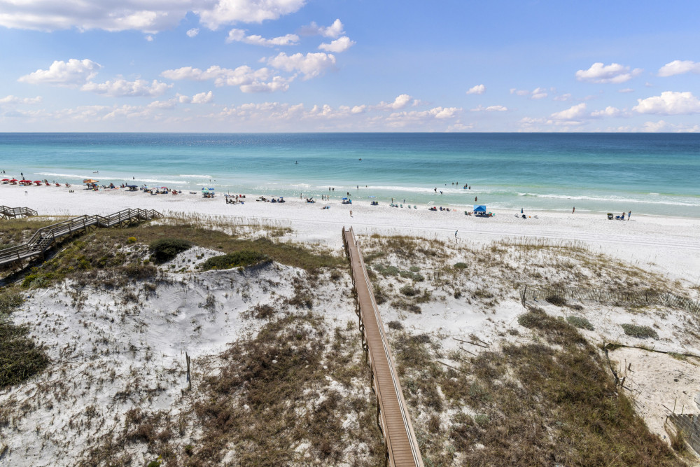 Seagrove 49