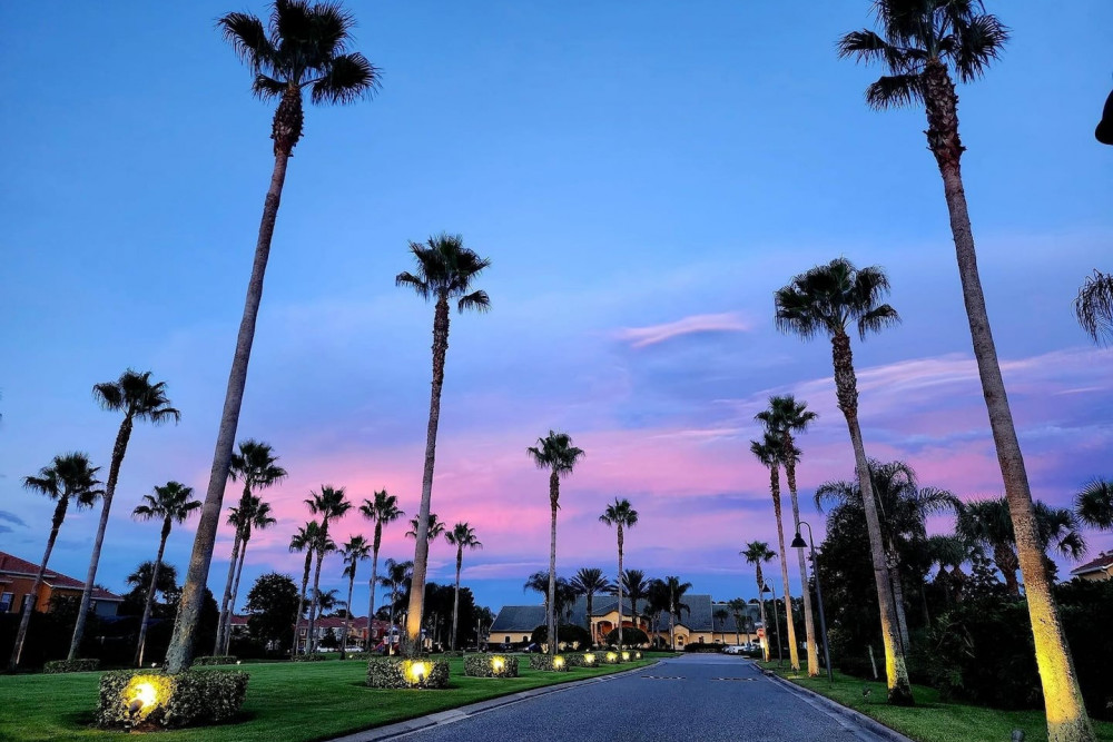 Paradise Palms Resort 91