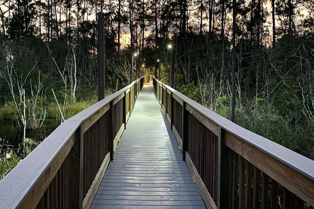 Paradise Palms Resort 91