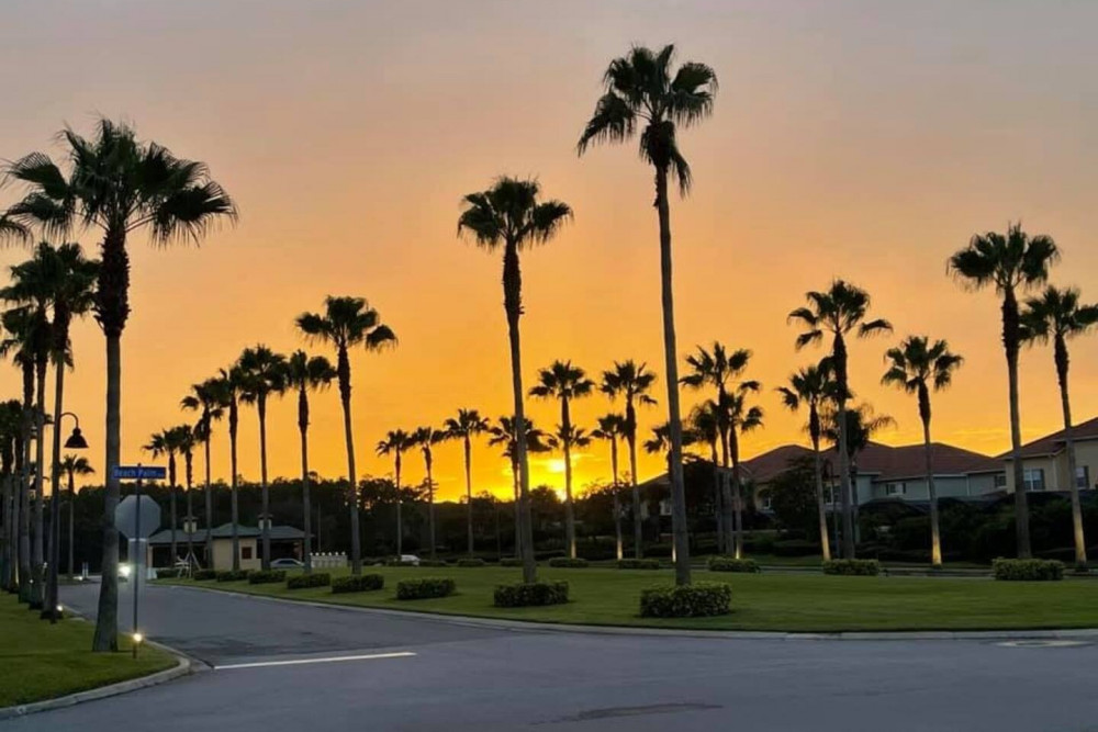 Paradise Palms Resort 91