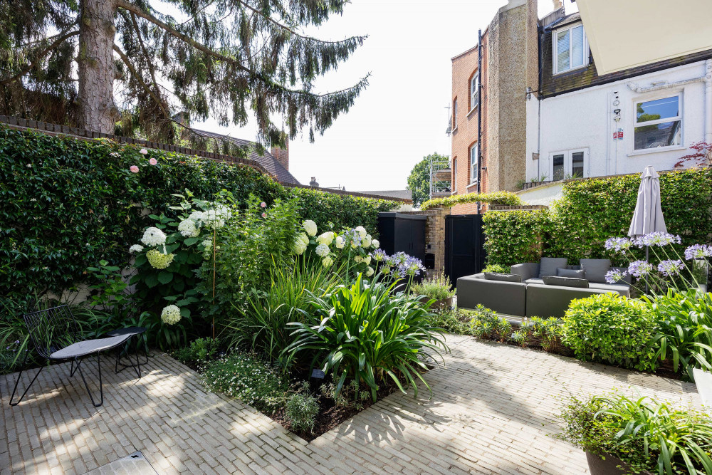 Courtyard Oasis