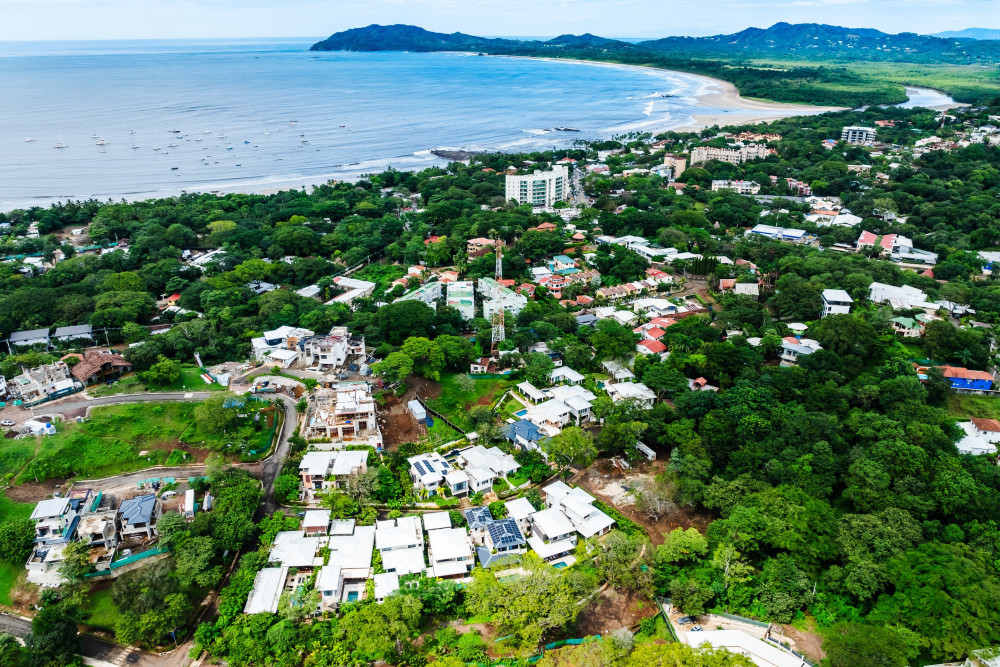 Tamarindo 36