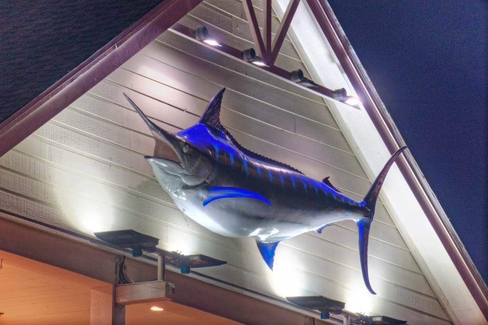 Port Aransas 114