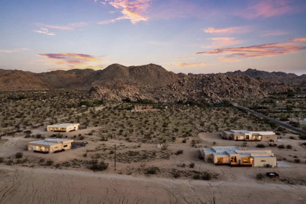 Joshua Tree 46