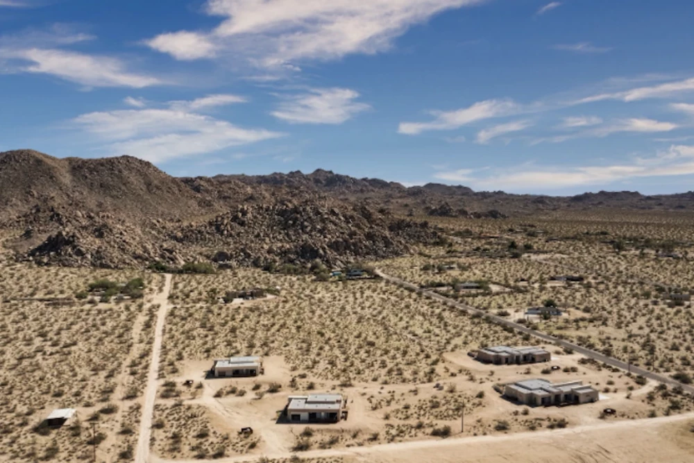 Joshua Tree 46