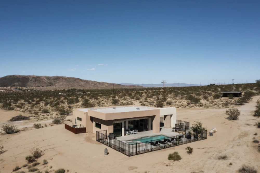 Joshua Tree 46