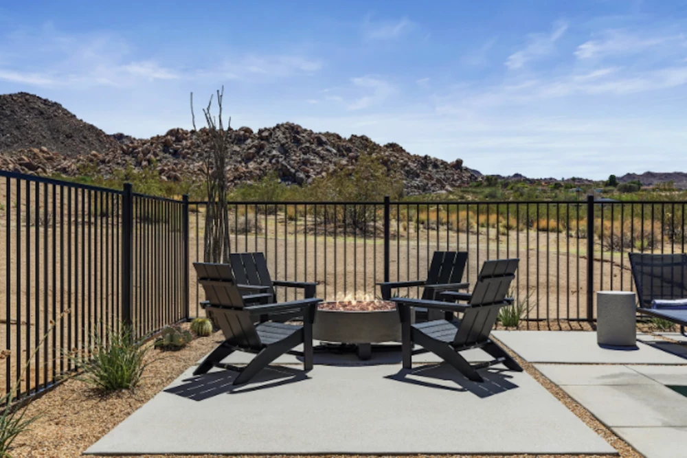 Joshua Tree 46