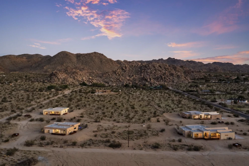 Joshua Tree 46