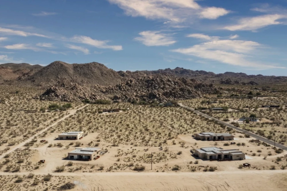 Joshua Tree 46