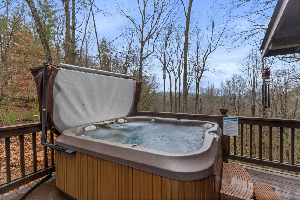 Ellijay 17