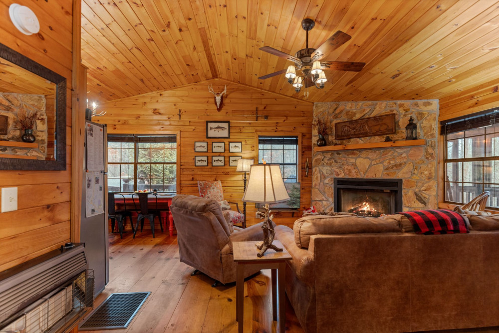 Ellijay 17