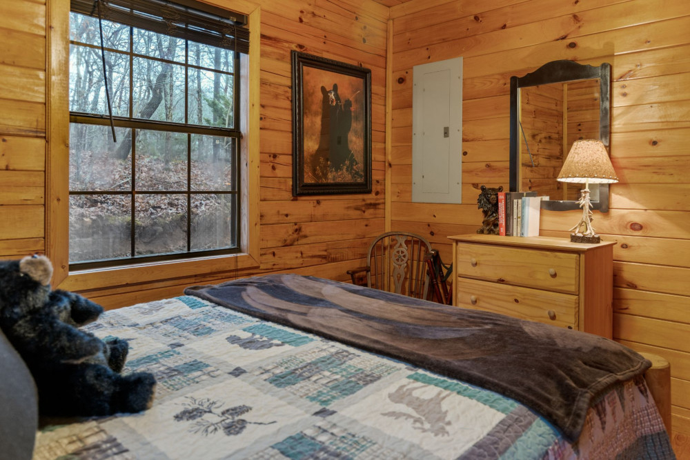 Ellijay 17