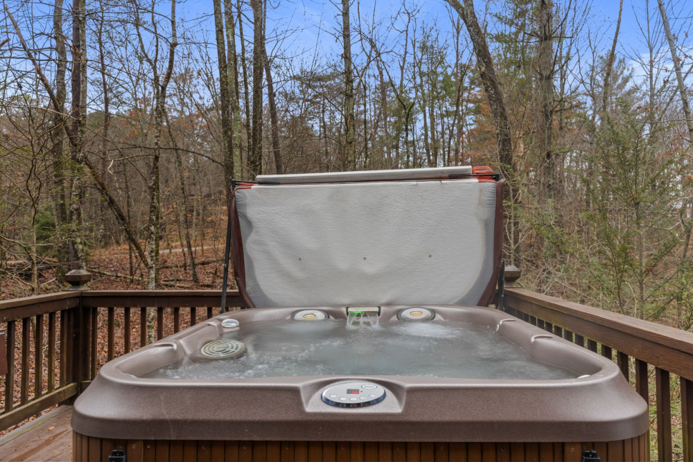 Ellijay 17
