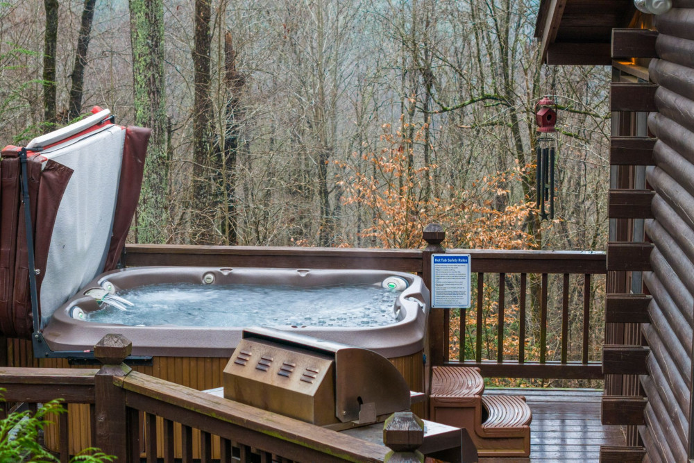 Ellijay 17