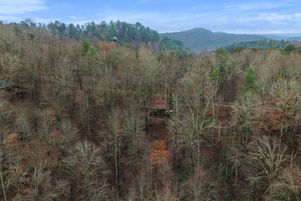 Ellijay 17