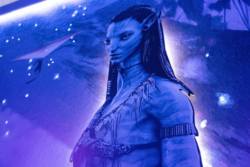 Windsor Island Resort 102