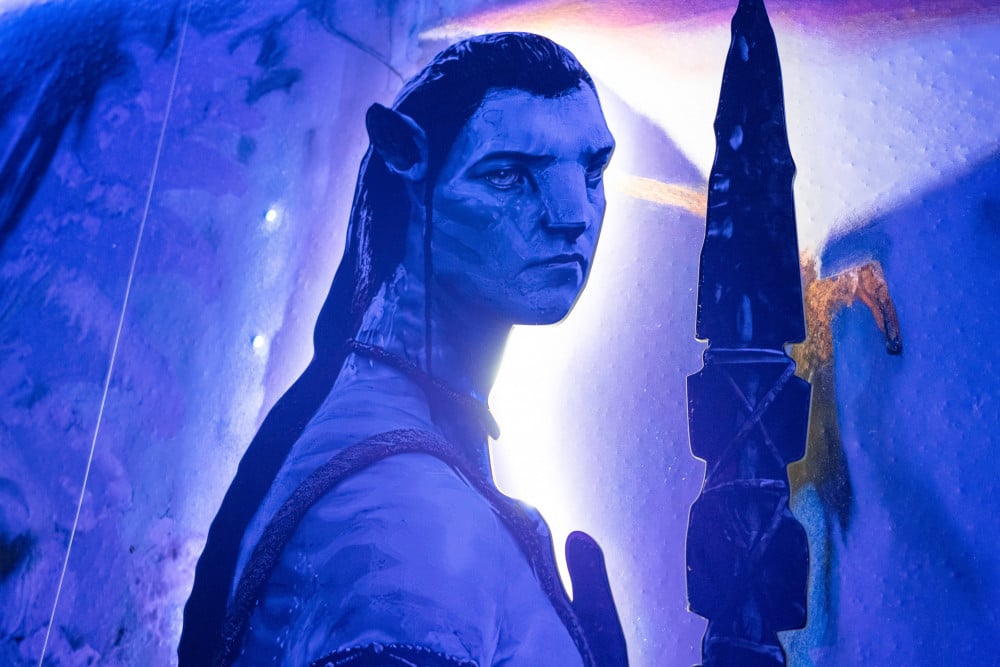 Windsor Island Resort 102