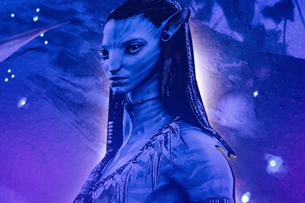 Windsor Island Resort 102