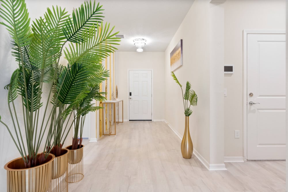 Windsor Island Resort 102