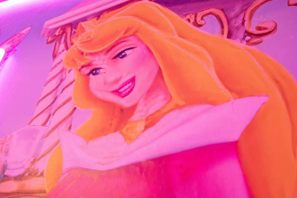 Windsor Island Resort 102