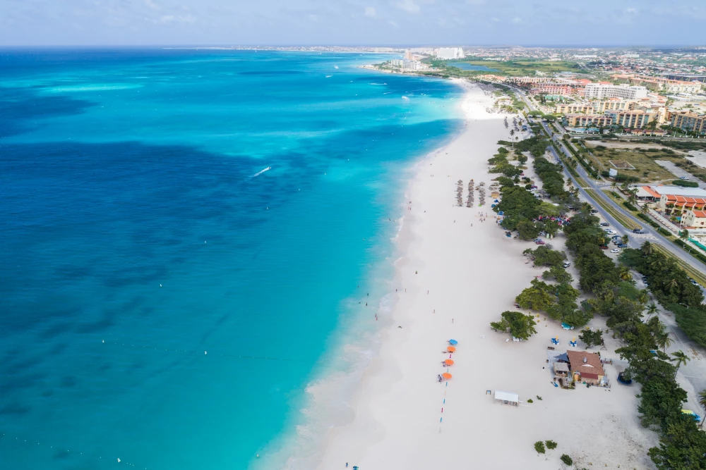 Aruba 133