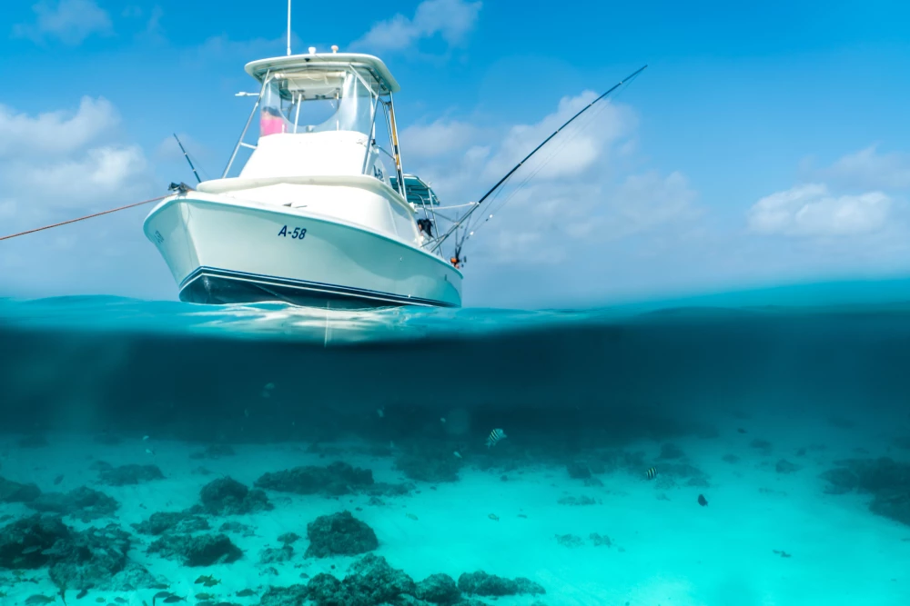Aruba 133