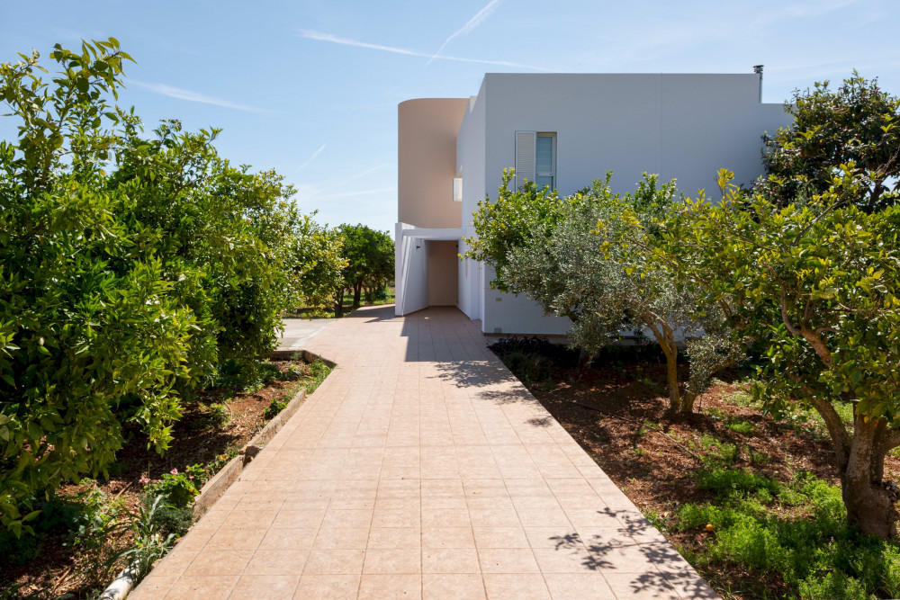 Ibiza 25