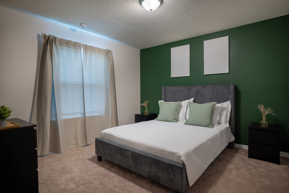 Windsor Cay 50
