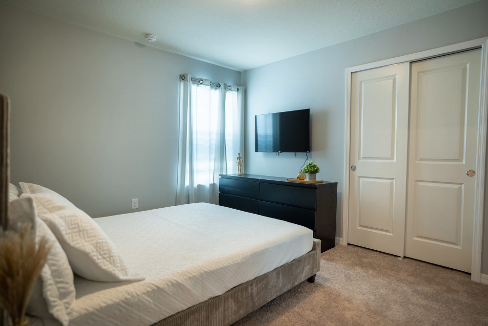 Windsor Cay 50