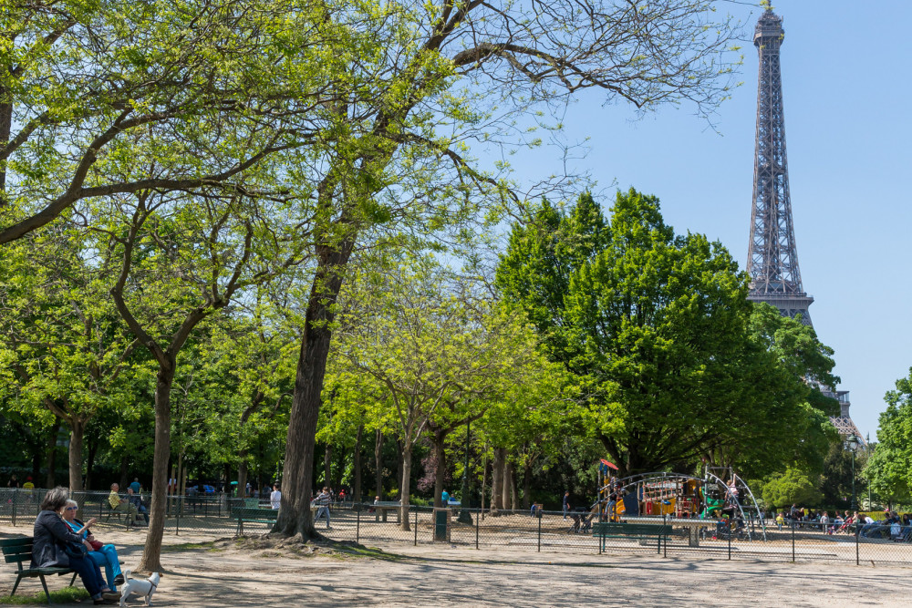 Avenue to the Eiffel Tower