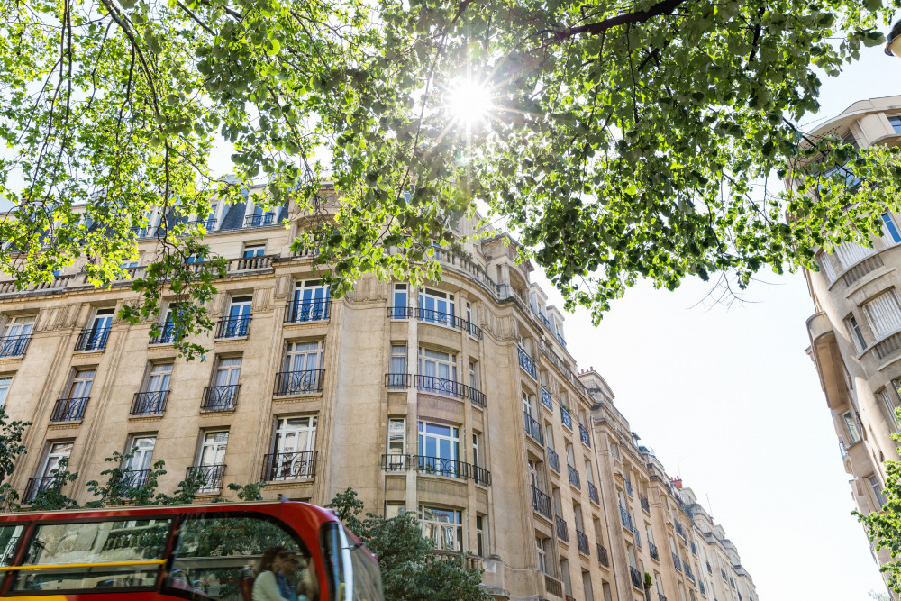 Avenue to the Eiffel Tower