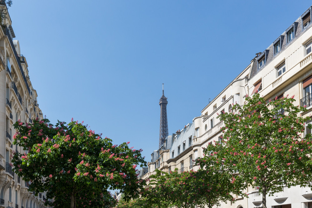 Avenue to the Eiffel Tower