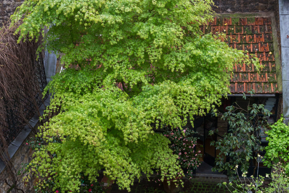 Charming Townhouse near Parc Montsouris