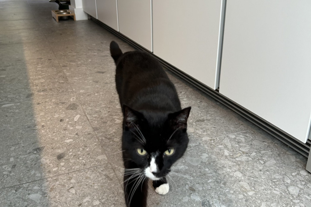 The London Fields Family Retreat