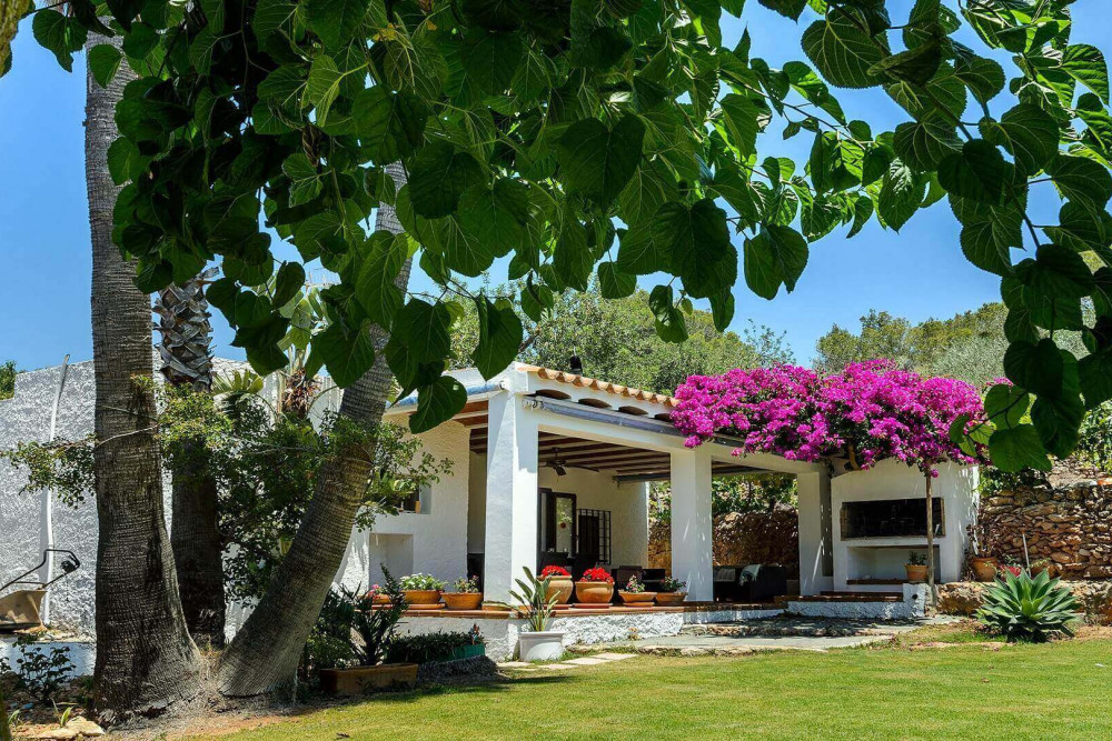 Ibiza 19