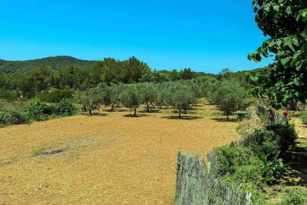 Ibiza 19