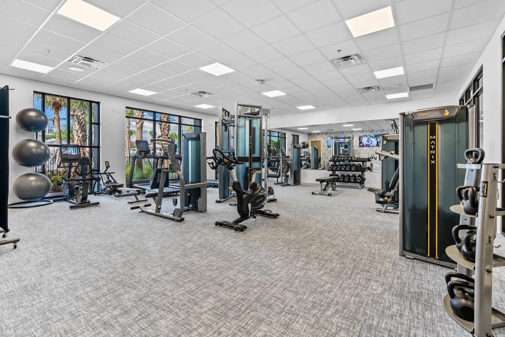 Windsor Cay 72