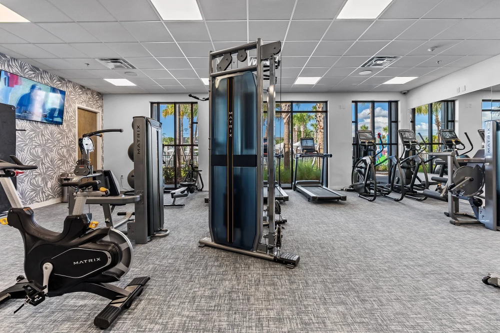 Windsor Cay 72