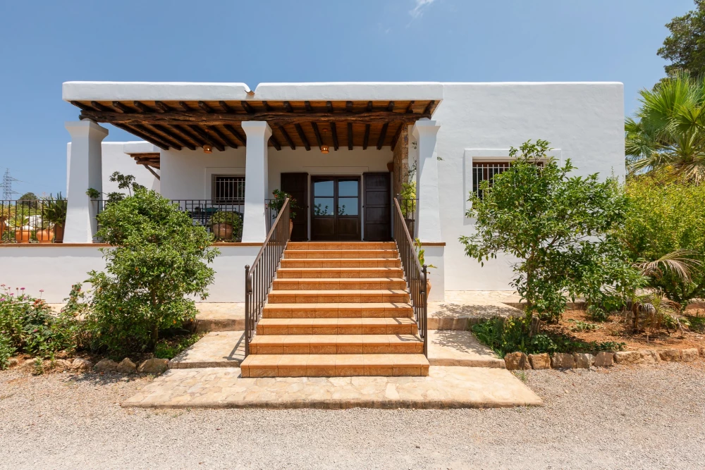 Ibiza 6