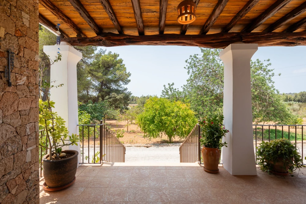 Ibiza 6