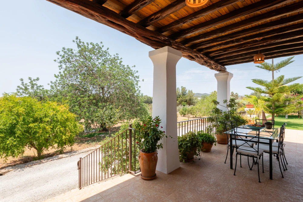 Ibiza 6