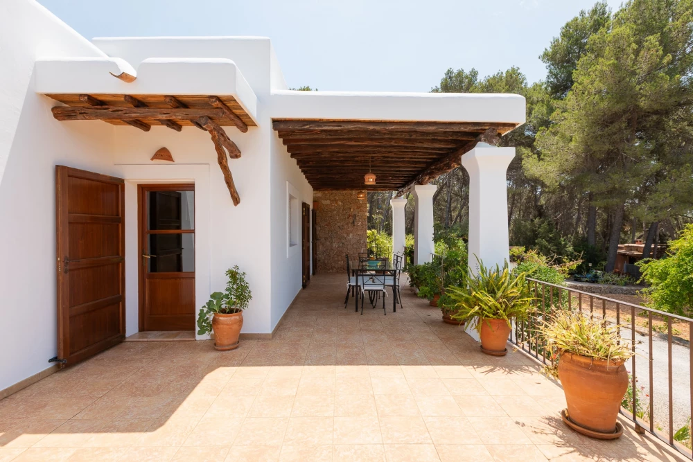 Ibiza 6