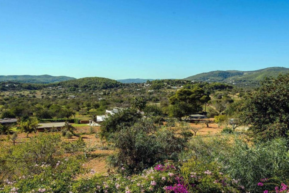 Ibiza 8