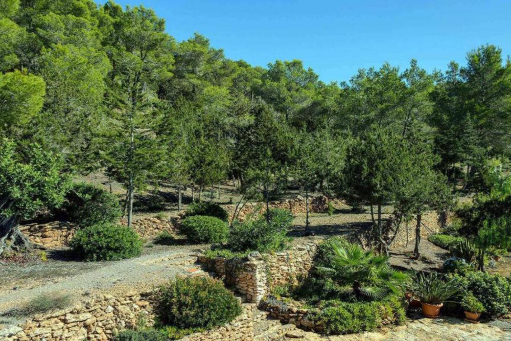 Ibiza 8