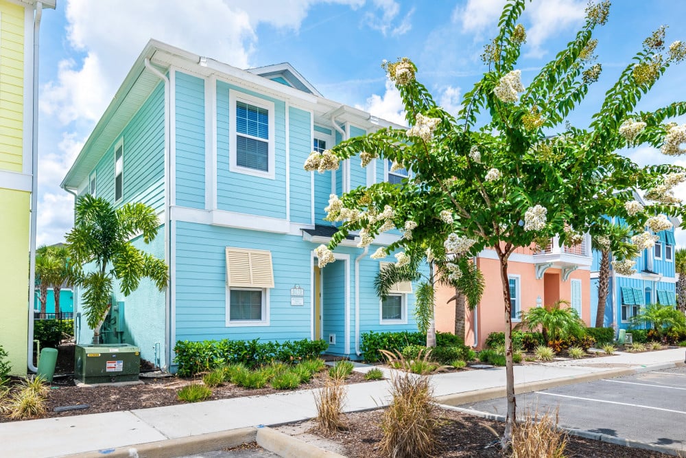 Margaritaville 579