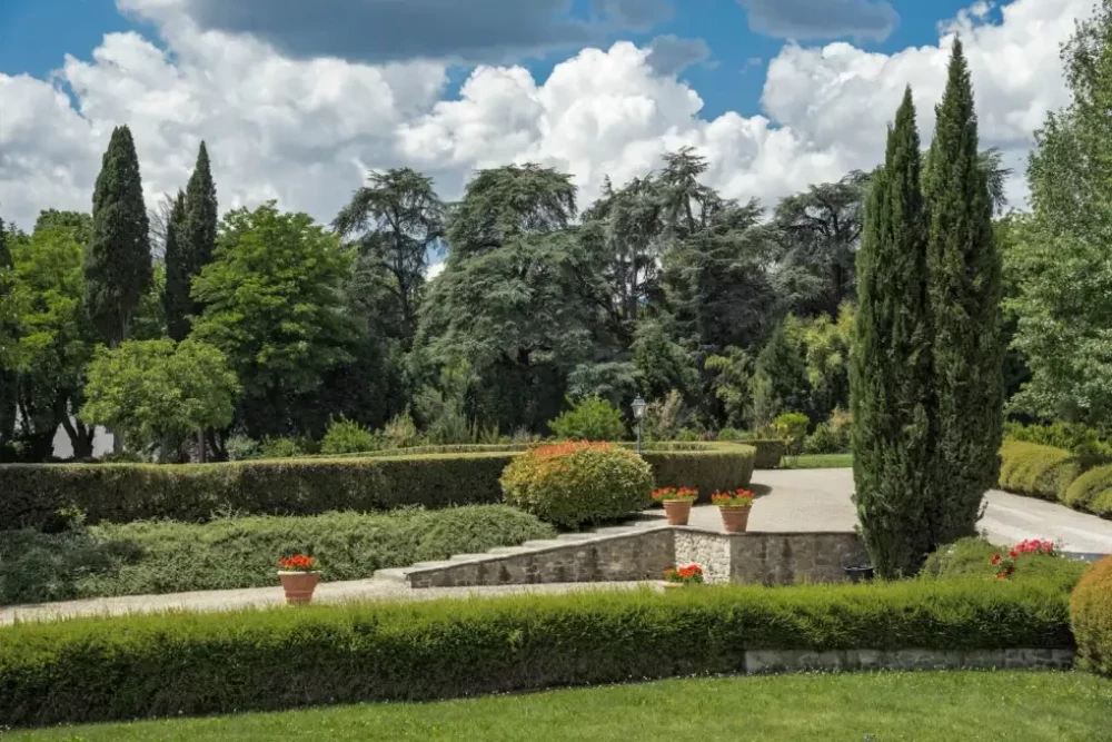 Florence 19
