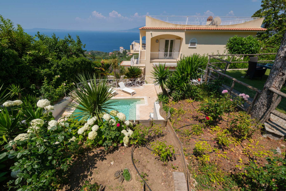 Sorrento 2